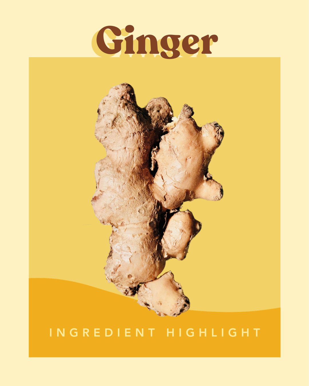 A whole ginger root on a yellow background